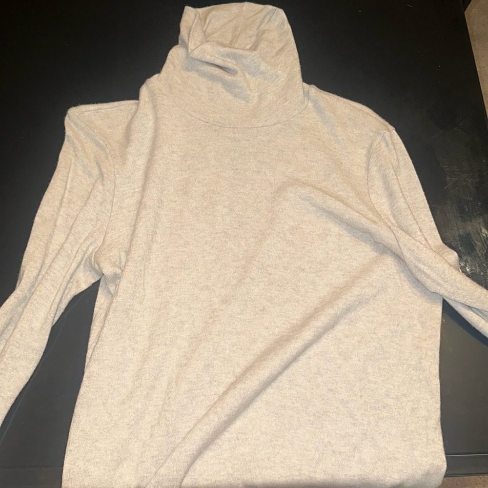 fitted zara turtleneck